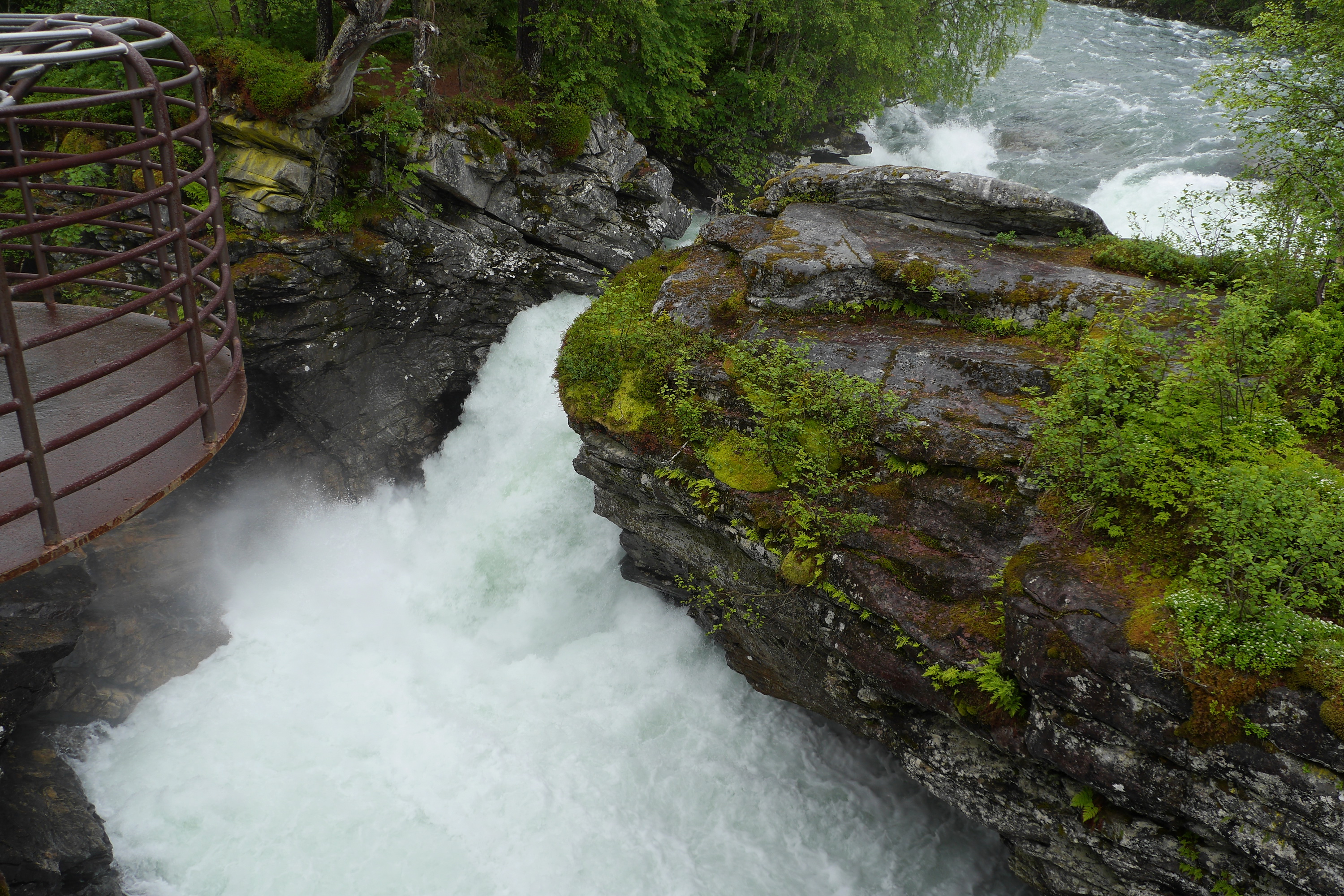 Busausflug Geiranger mit Trollstigen